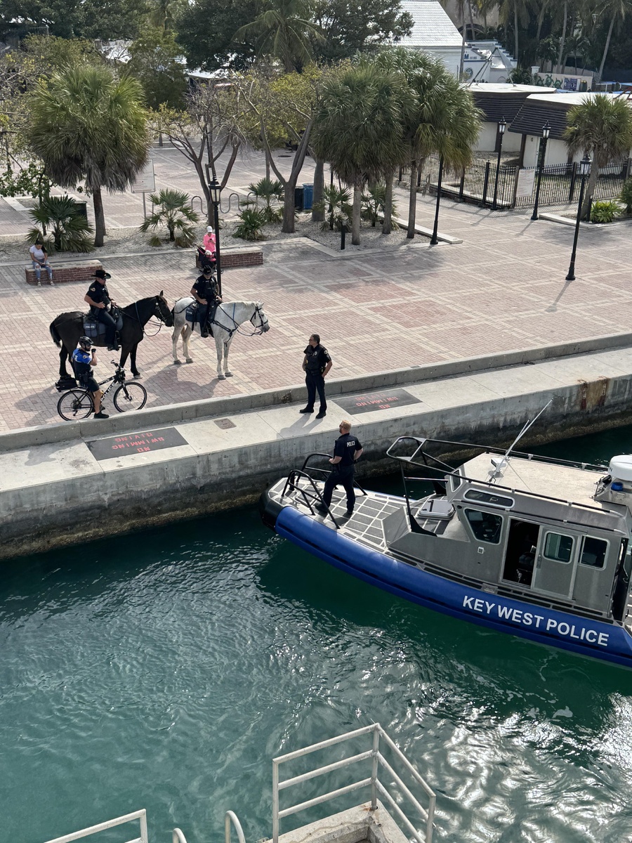 Фото: Squarerigjack / Reddit 