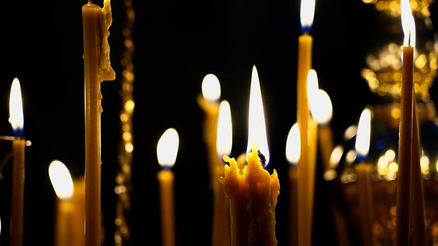    Фото: ИЗВЕСТИЯ/Дмитрий Коротаев