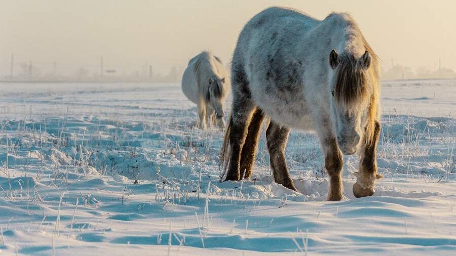    Фото: РИА Новости/Андрей Сорокин