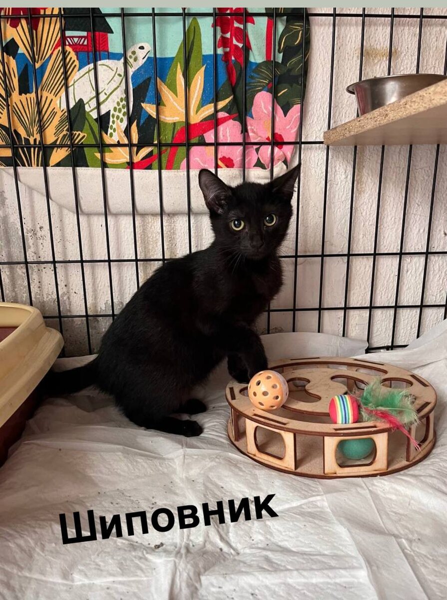 Маленький он тут ещё