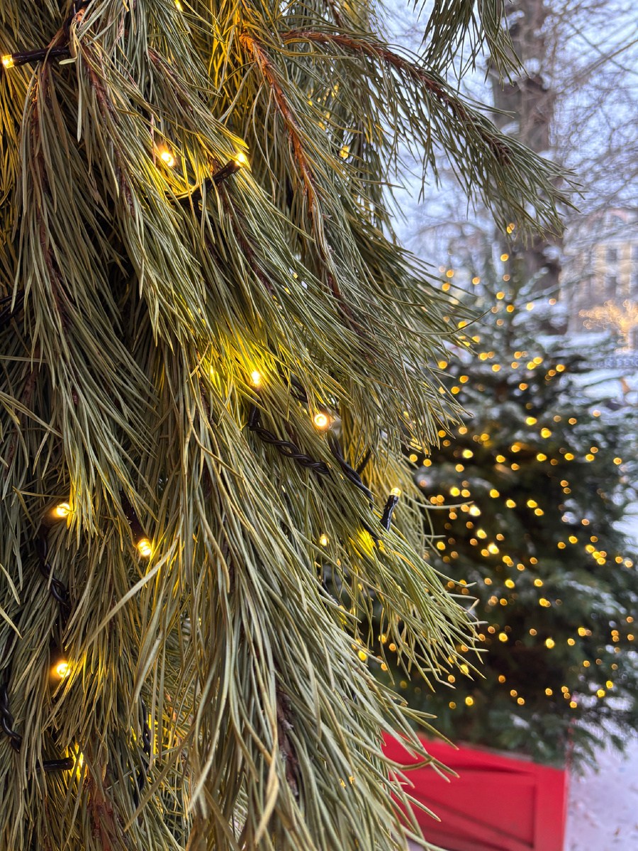 Фото автора. Виктор вчера ездил в центр гулять с одноклассниками. В шестнадцать хочется быть в центре толпы ))