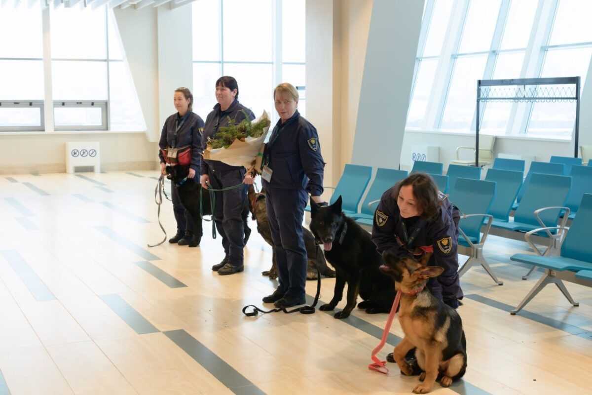    Фото: пресс-служба аэровокзала «Южно-Сахалинск» Наталья Краснова