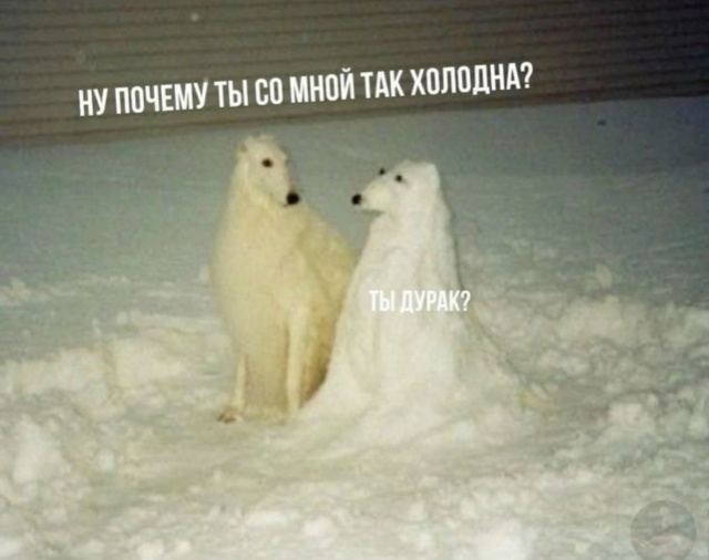 Картинка взята из откытого доступа в сети Интернет