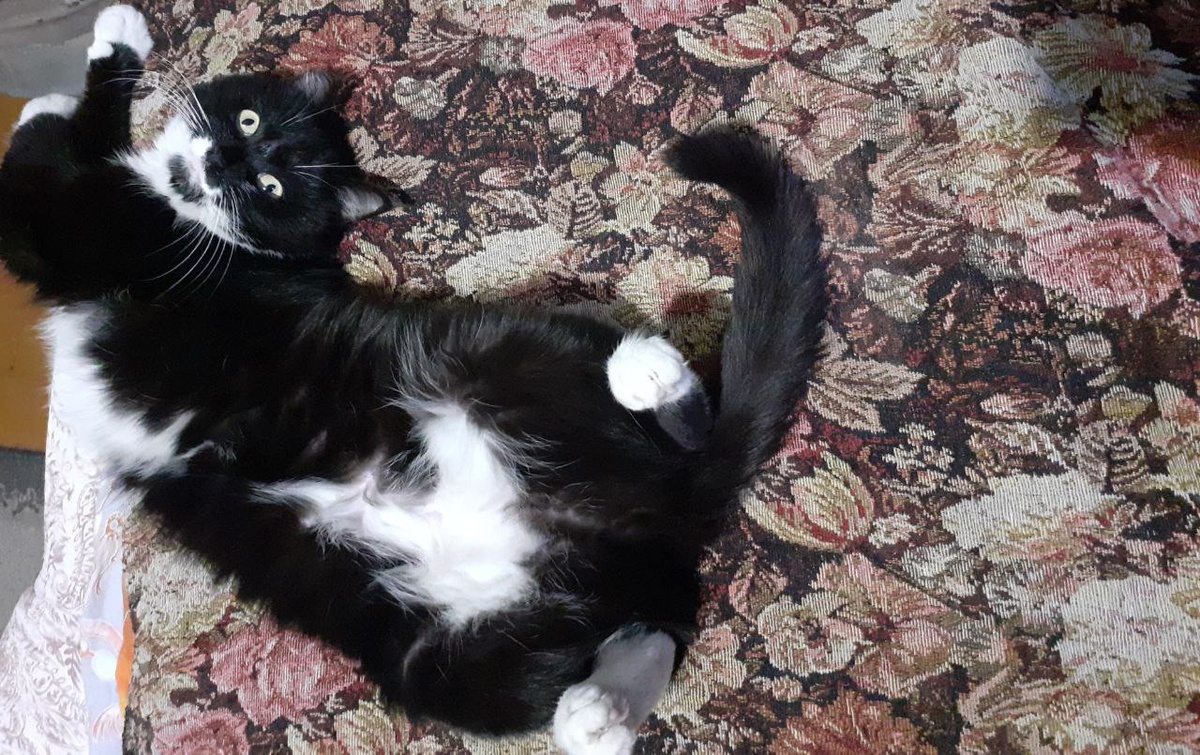 Наша прелесть)