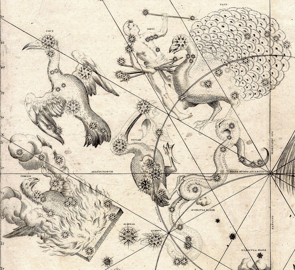 Южные созвездия в атласе «Уранометрия» И.Байера.