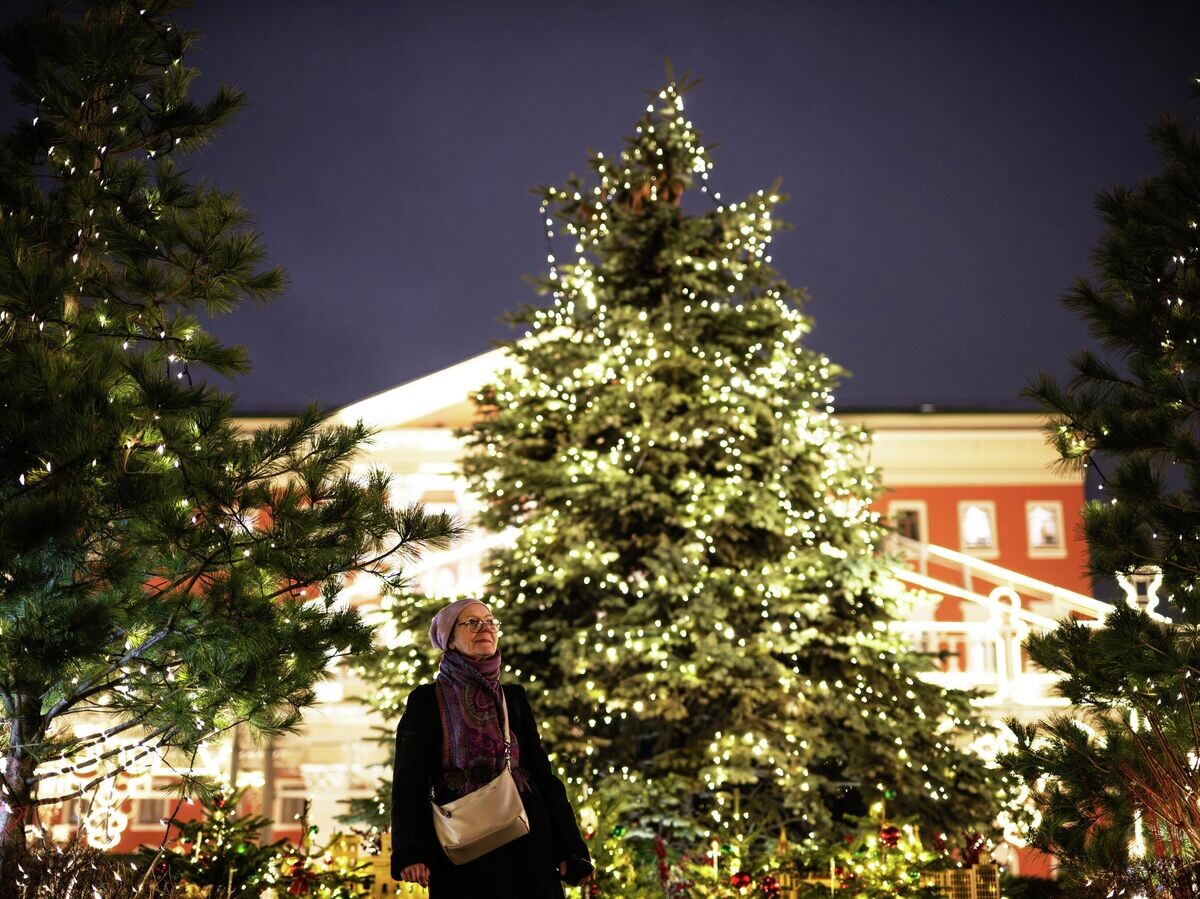    Новогодние украшения в городах России | © РИА Новости / Владимир Астапкович