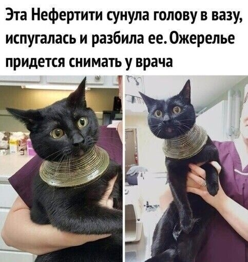 Картинка взята из открытого доступа в сети Интернет