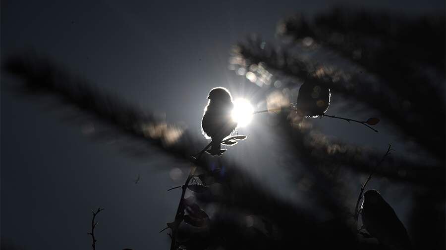    Фото: Global Look Press/Komsomolskaya Pravda