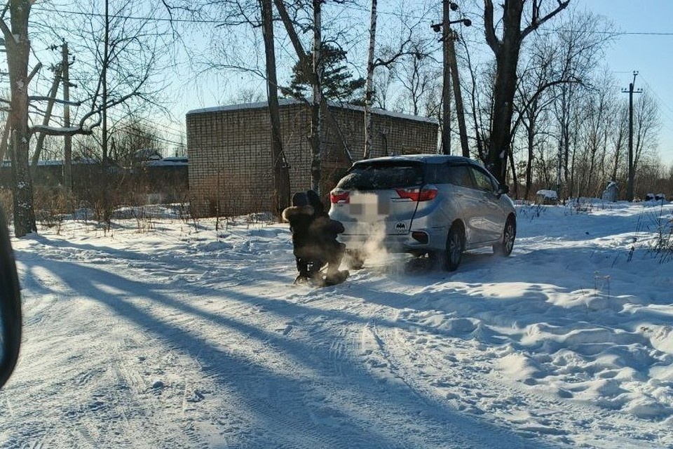    Фото: Госавтоинспекция района им. Лазо