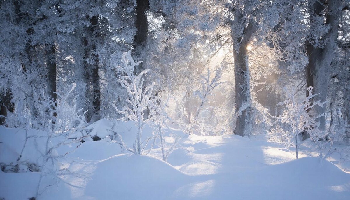 Великолепный день для того, чтобы понять, что вы оставите в 2025, а что возьмете с собой.
