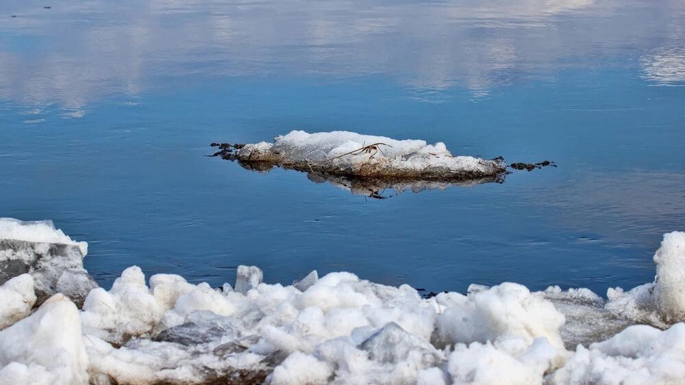    Фото: Maximillian cabinet/Shutterstock/Fotodom