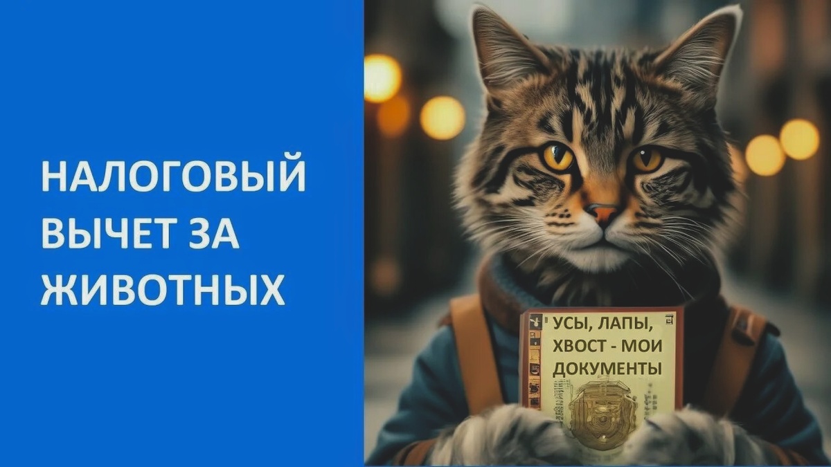Фото взято из открытых источников в сети Интернет.
