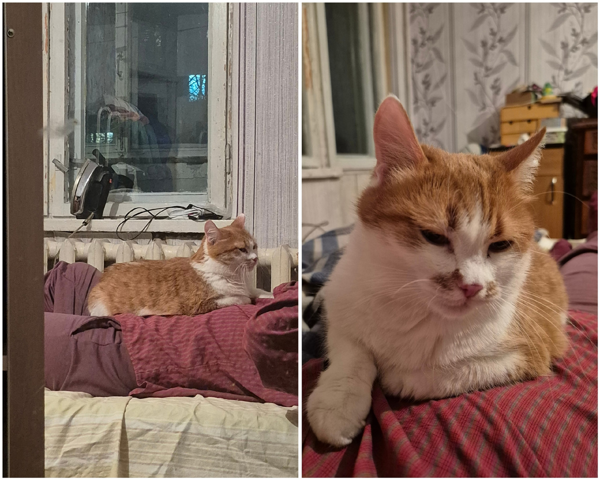 начиналось все вот так