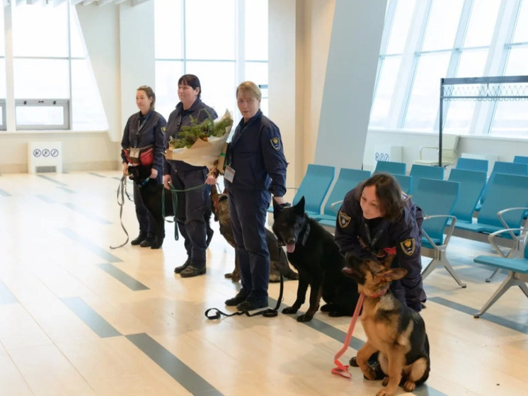     Фото: Пресс-служба АО "Аэровокзал Южно-Сахалиск"