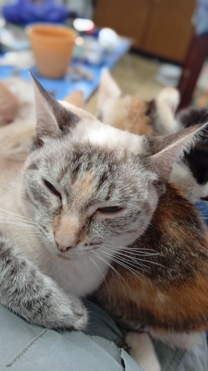 Фото из личного архива