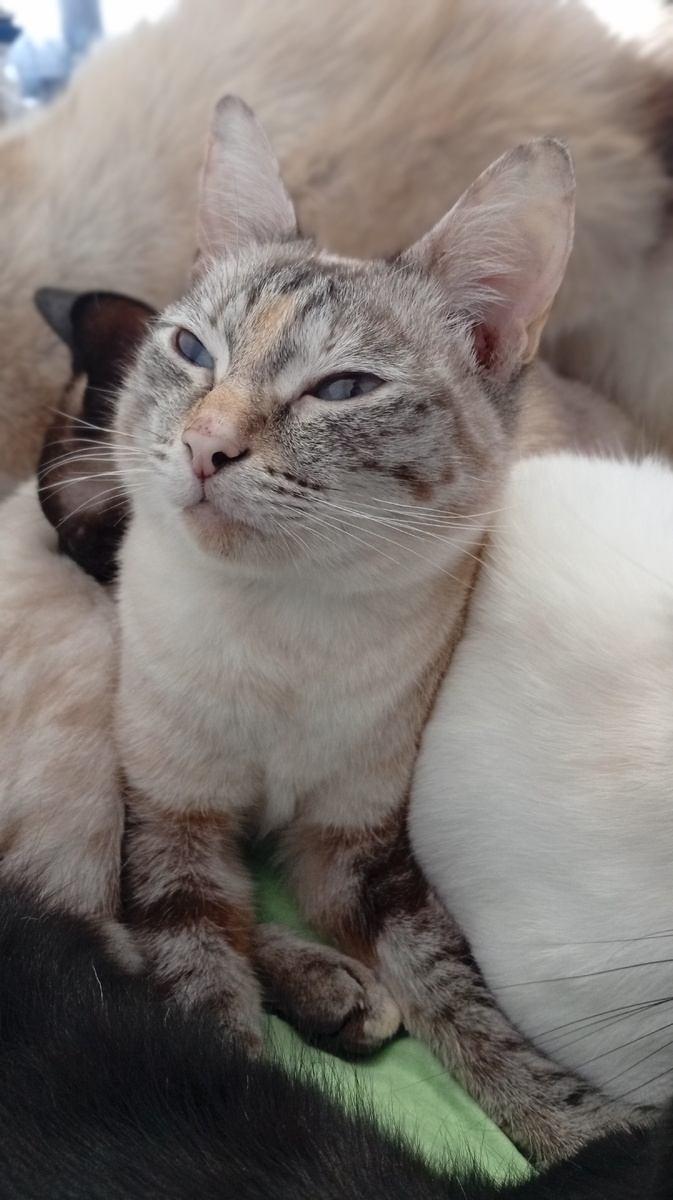 Фото из личного архива