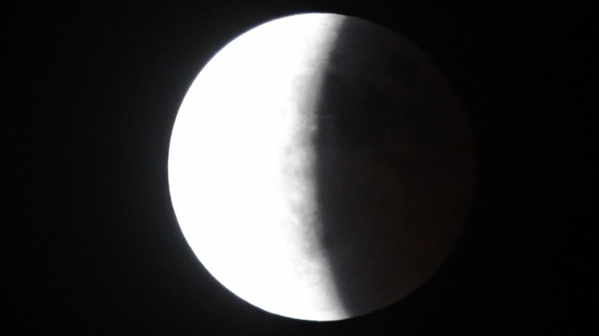    Фото: © РИА Новости/Виталий Аньков