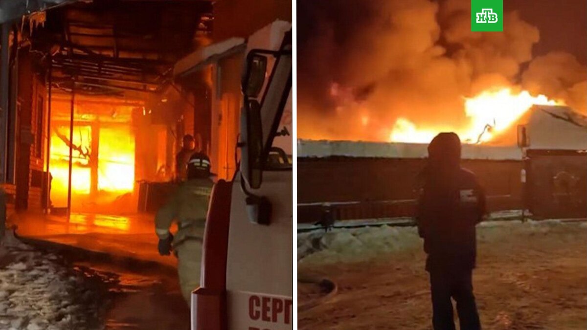    Фото: соцсети