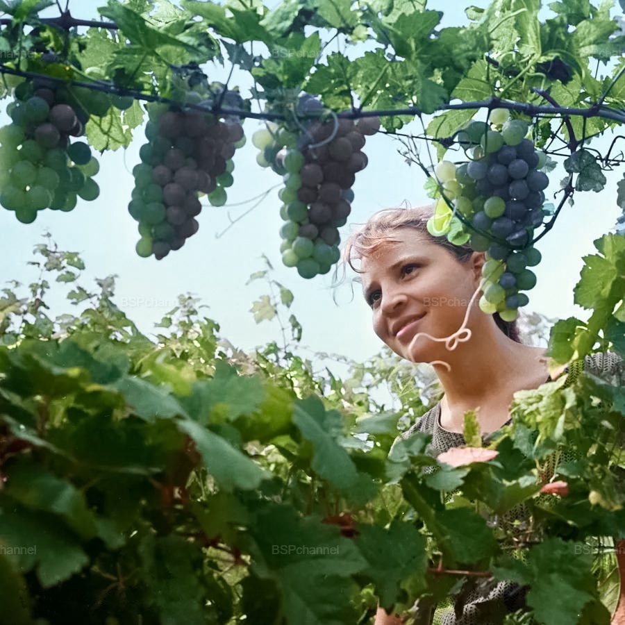 Фотограф: Т. Ананьина