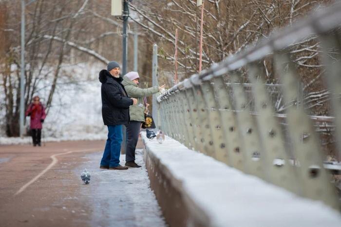 Стало известно, какое имущество не облагается налогом для пенсионеров
