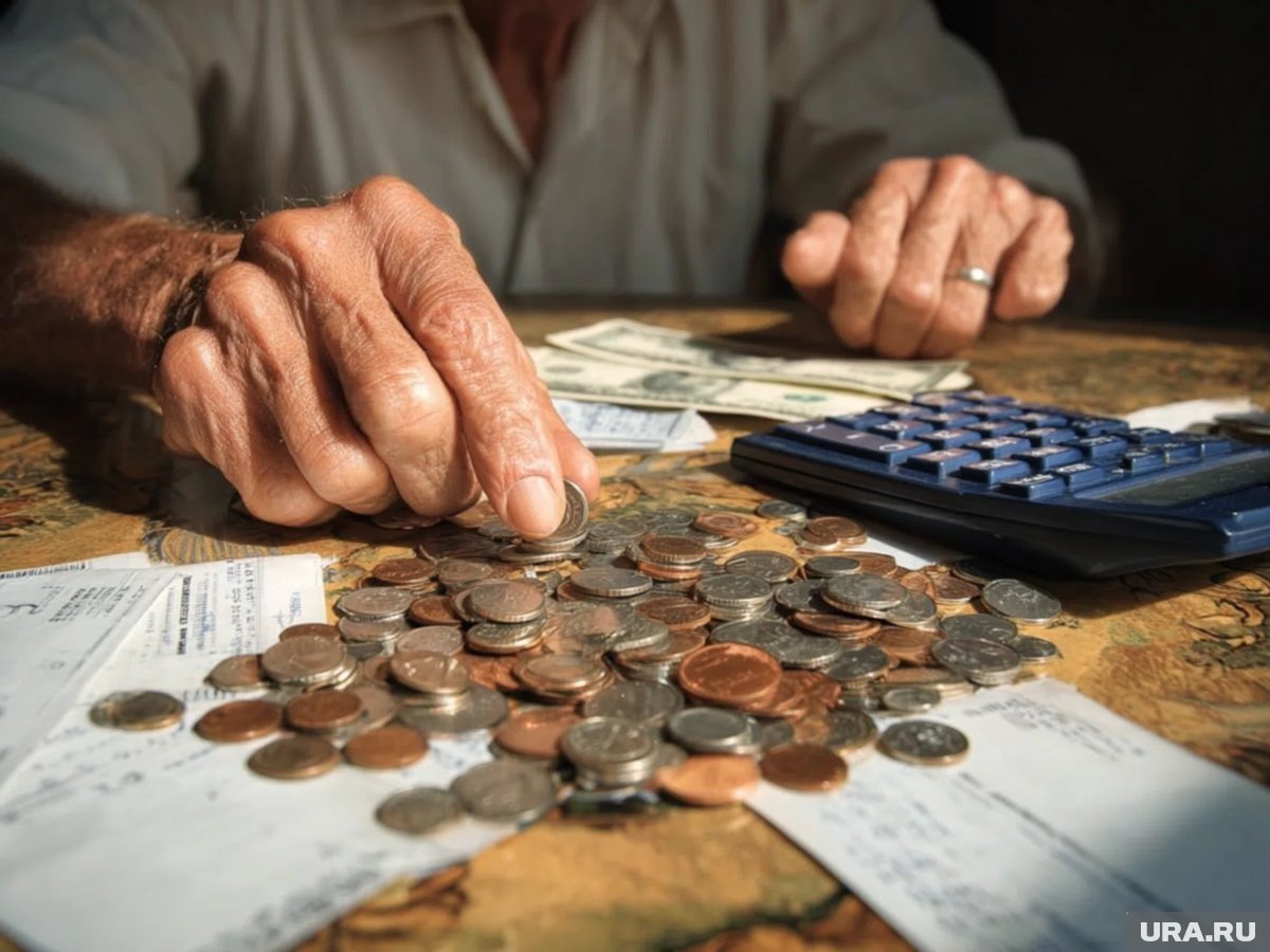     Пенсионеры могут не платить налог за одно из имуществ, напомнила сенатор