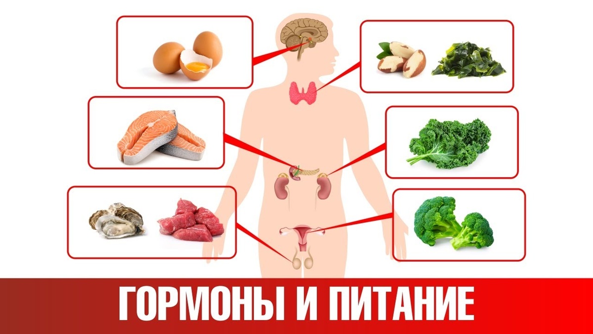 Как праздничное питание влияет на гормональный баланс (объяснение врача)