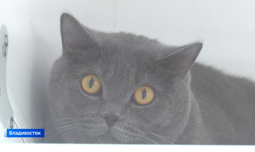    Источник фото: