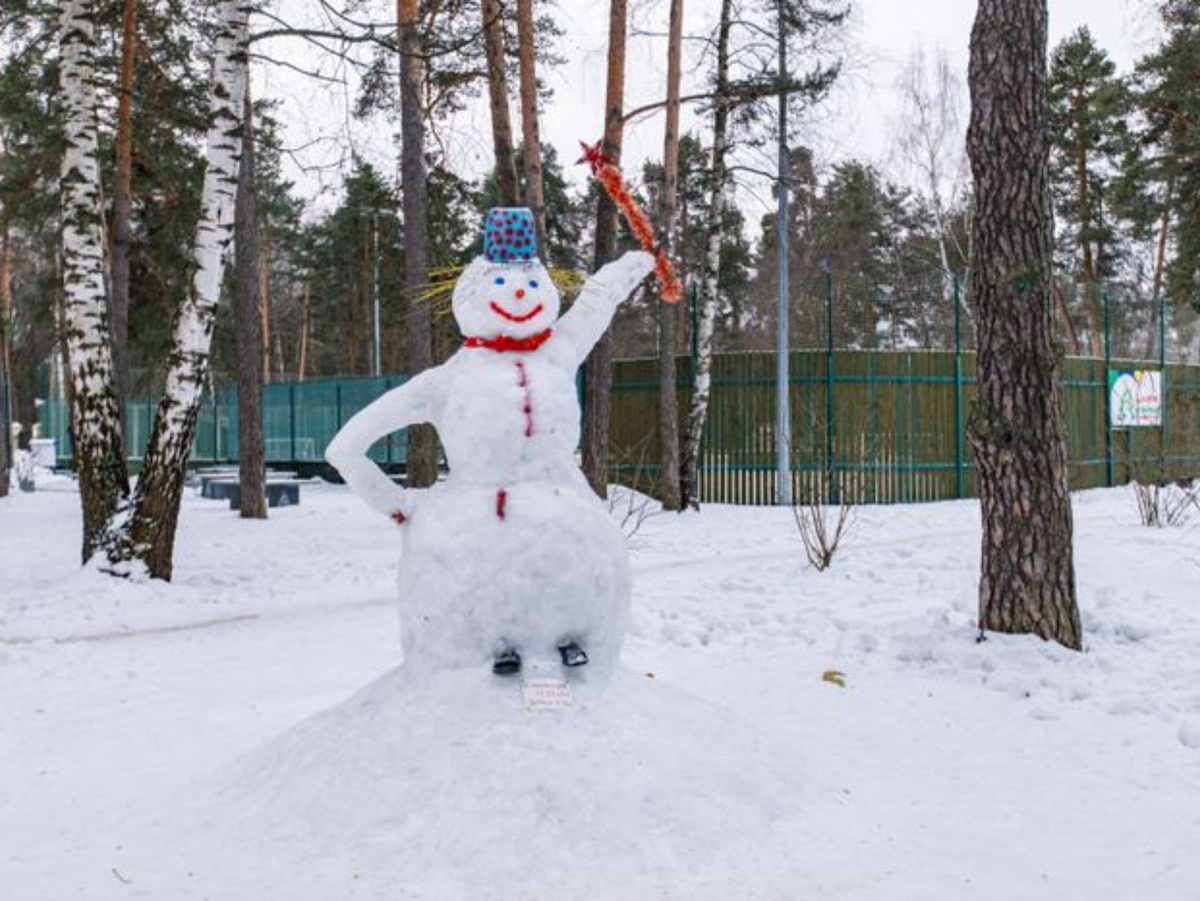     Фото: медиасток.рф