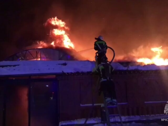    Фото: телеграм-канал "МЧС Московской области"