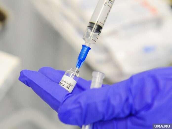    ??????. ?????????. 30 ???????? 2025. ???????? ?? ??????. novostix