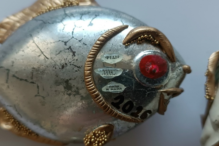    Фото со страницы Владимира Анискина