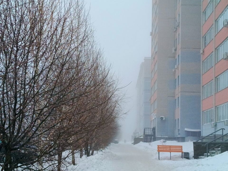    Утренний туман в Барнауле. Источник: "Толк"