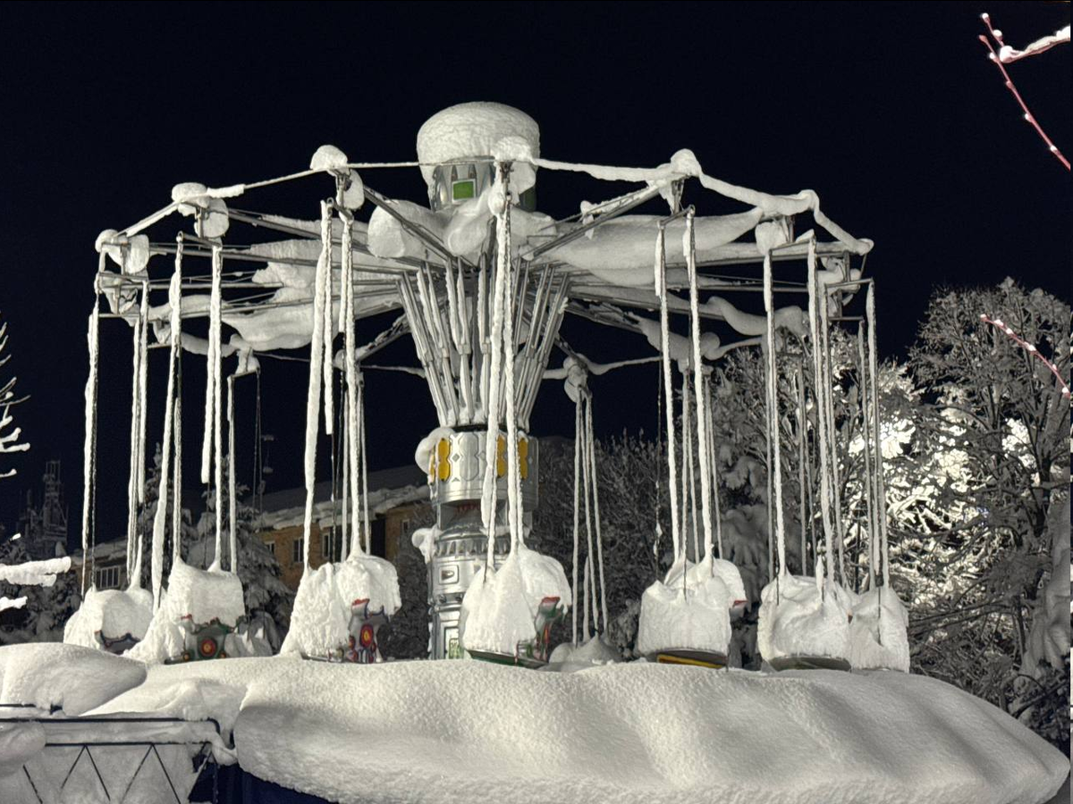 Фото: соцсети