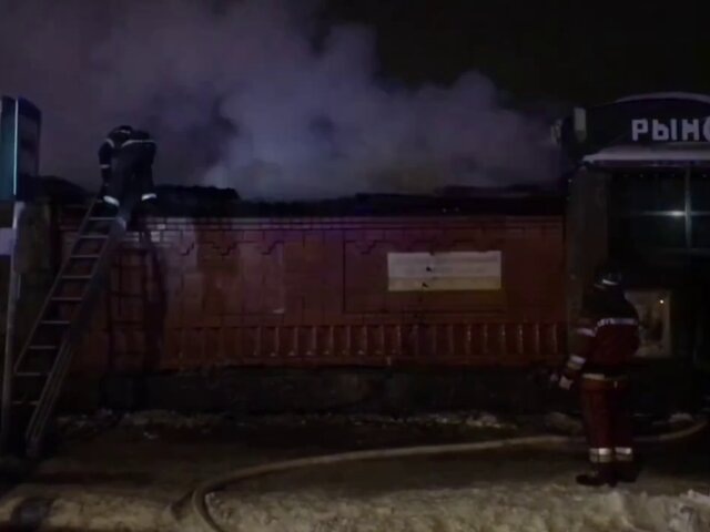    Фото: телеграм-канал "МЧС Московской области"