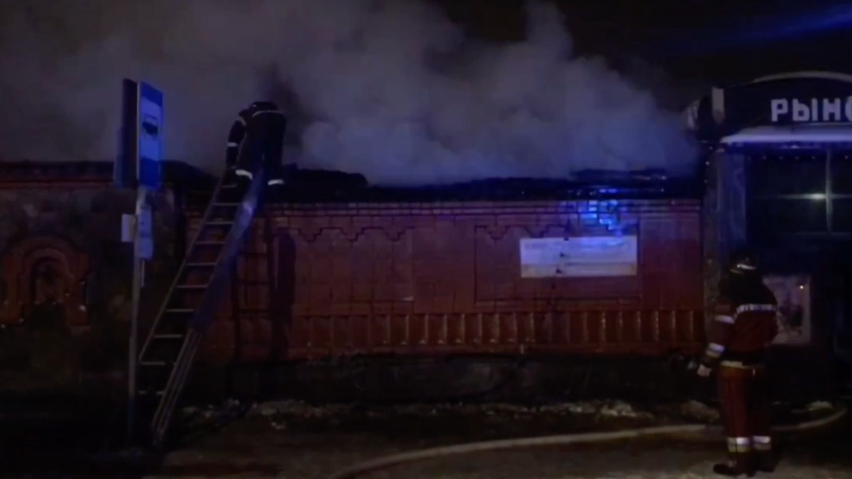    Фото: МЧС России