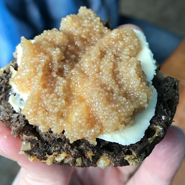 Фото: Олеся Тимофеева, личный архив
