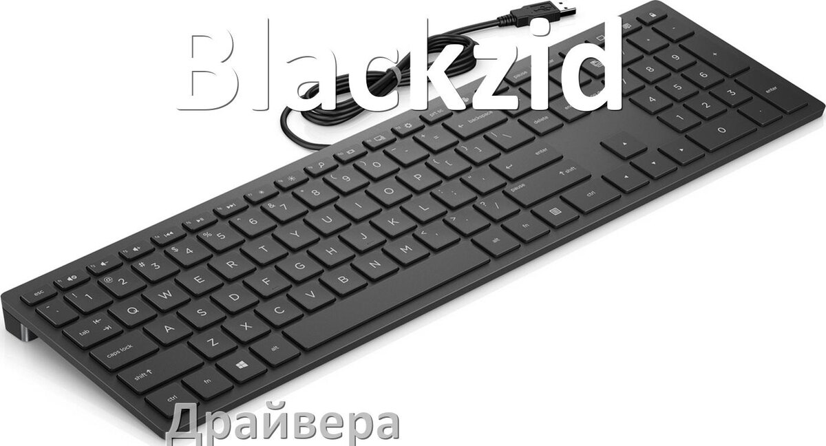 
Драйвер клавиатуры Blackzid для Windows 10 и 11