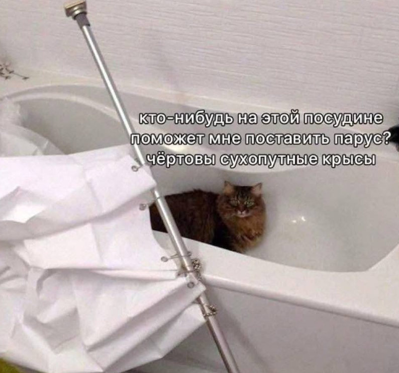 все иллюстрации - весёлые котики, взятые из сети ))