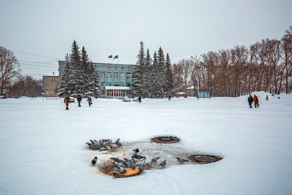 Город Бердск