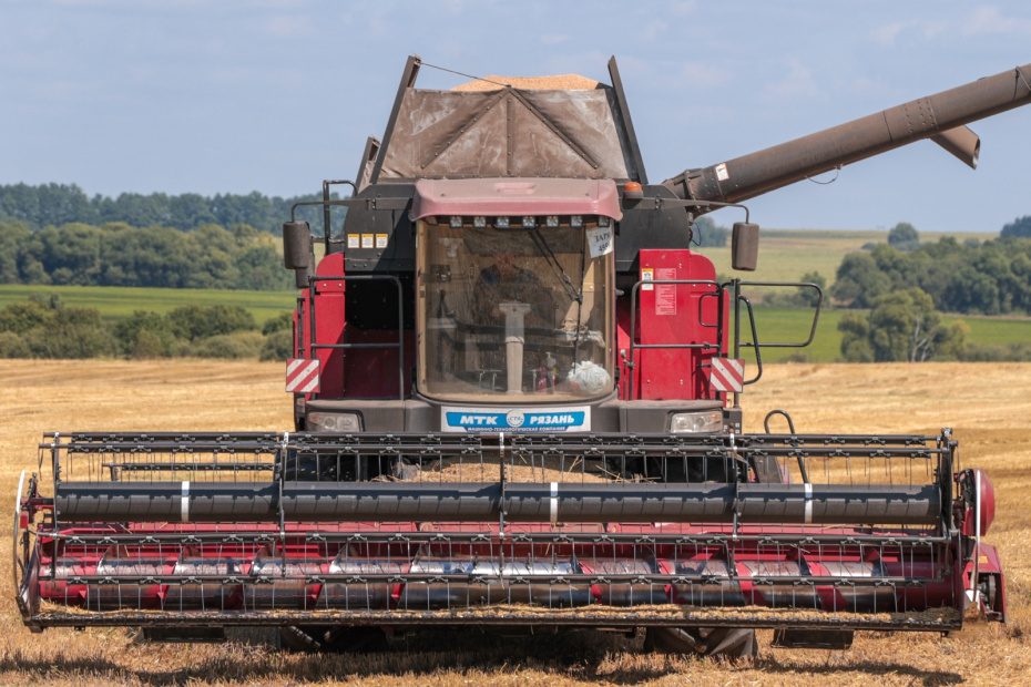    Алексей Белкин/NEWS.ru