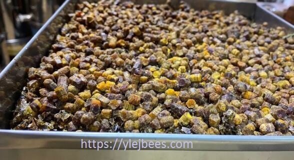 Фото Пчелиная перга  после выбивки из сот