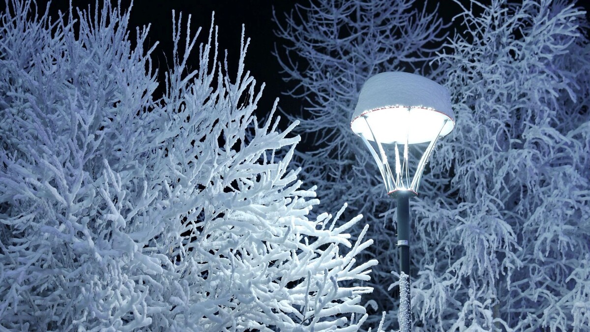    Фото: Андрей Ткачев/«Ямал-Медиа»