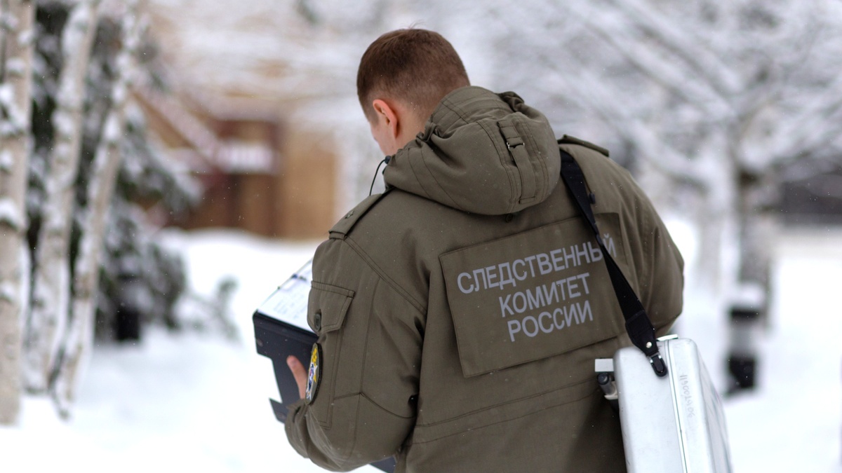    Бастрыкин взял на контроль обращение жителей Горноправдинска