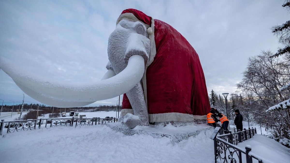    Фото: Сергей Зубков/«Ямал-Медиа»