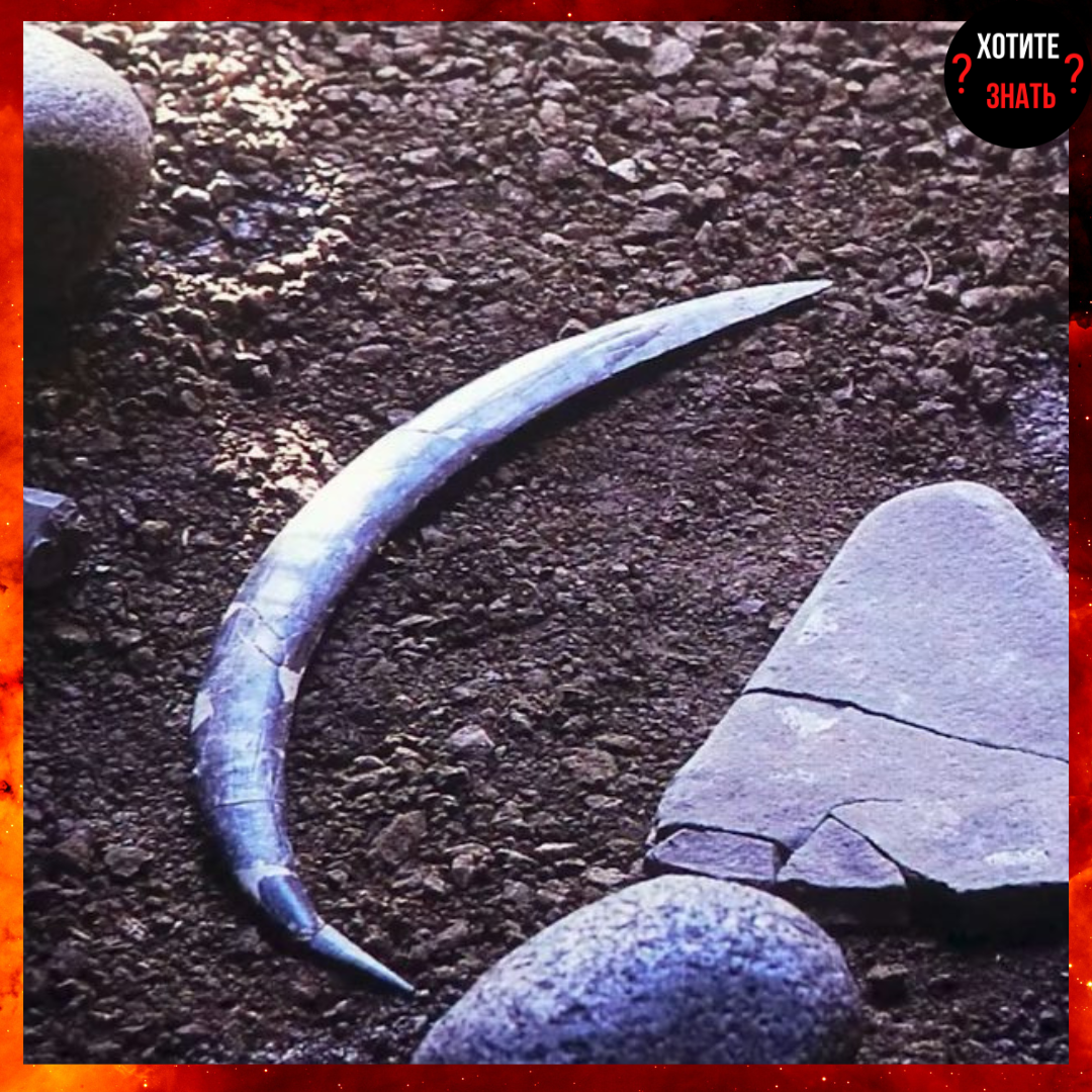 Археологический музей в Кракове, Польша