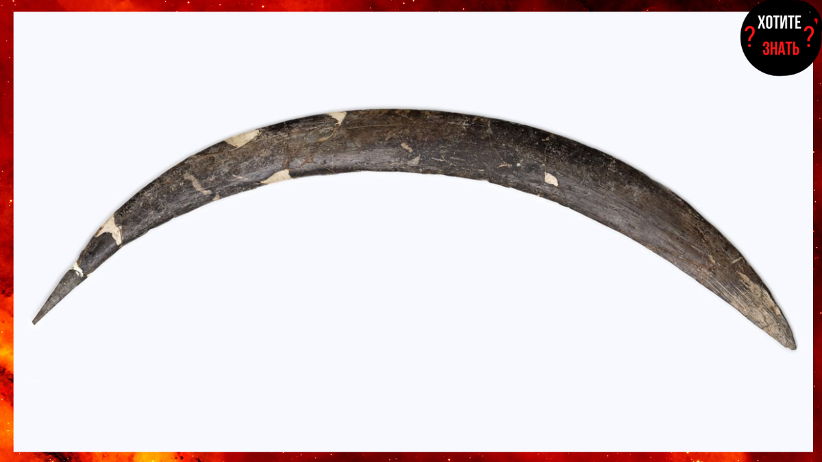 Археологический музей в Кракове, Польша