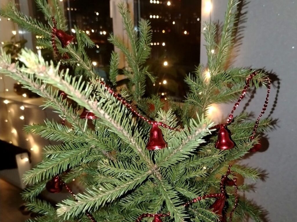    Фото: В курсе.ру Полина Анкушина