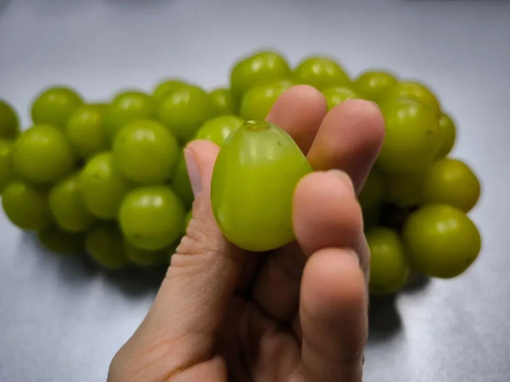    Фото: Амур.инфо