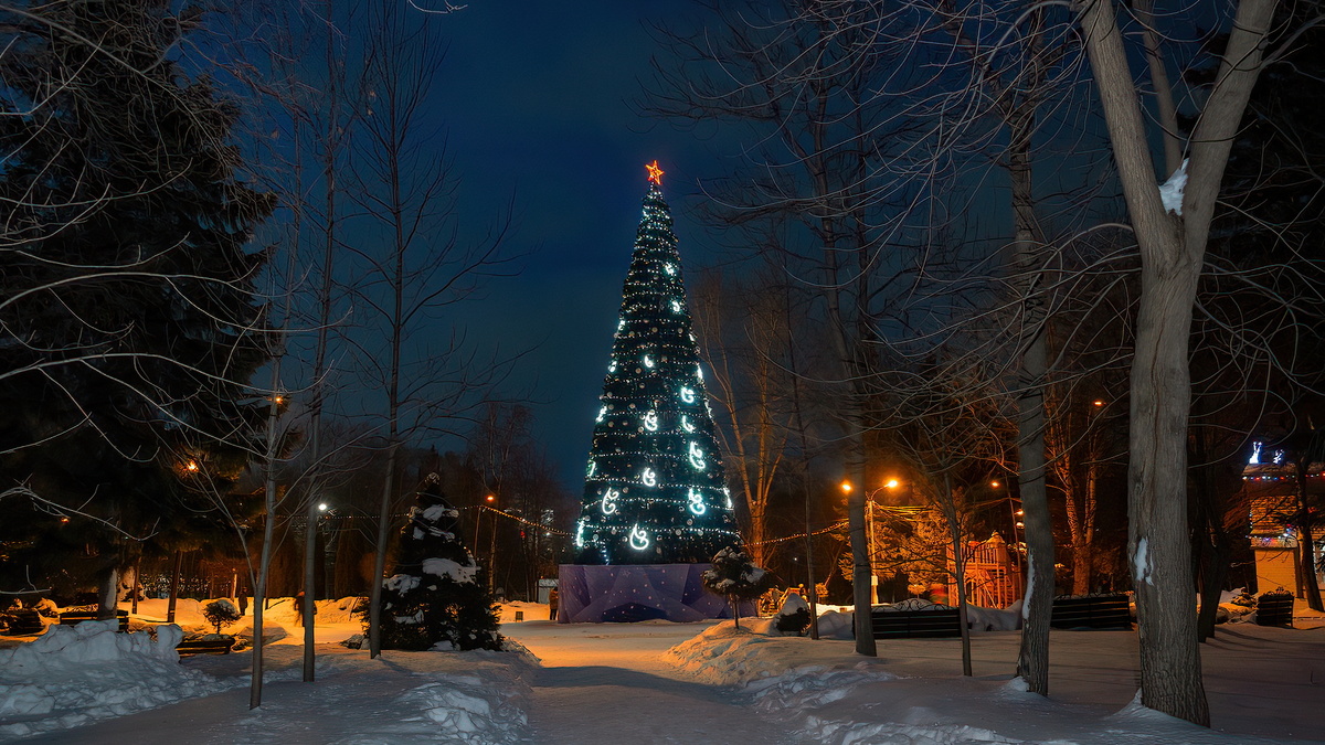 Парк Кирова. Новосибирск. Фотография - www.openmainphoto.ru