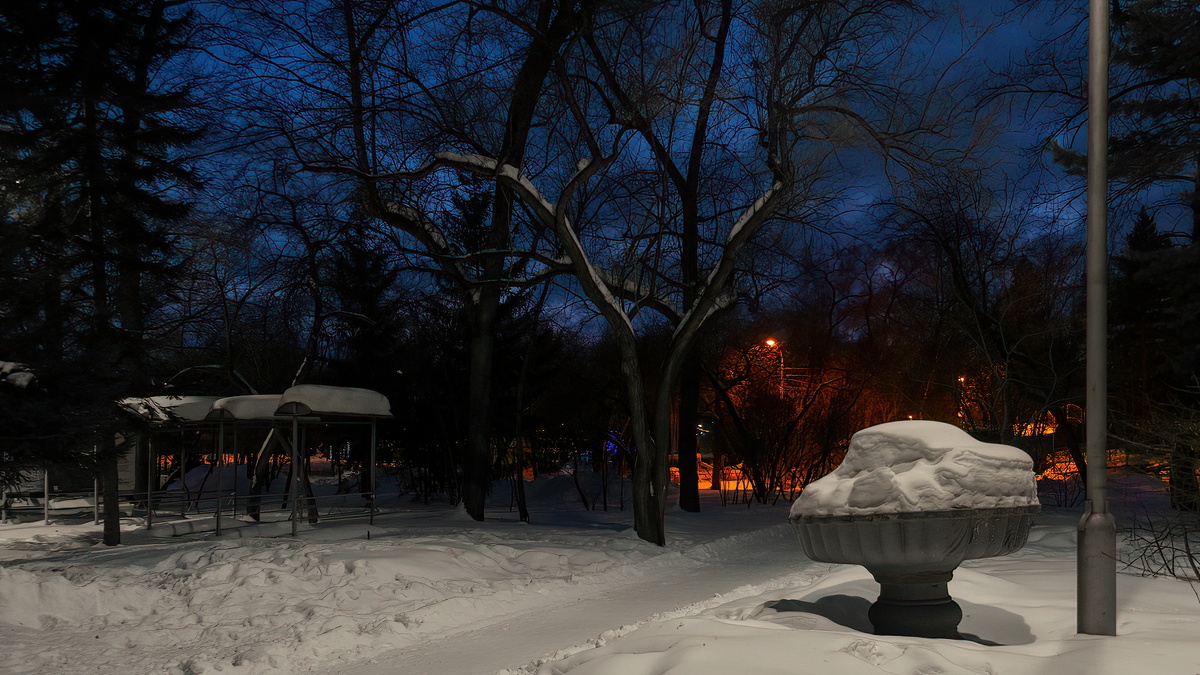 Парк Кирова. Новосибирск. Фотография - www.openmainphoto.ru